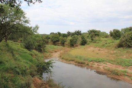 Timberland Property in McCulloch County, Texas