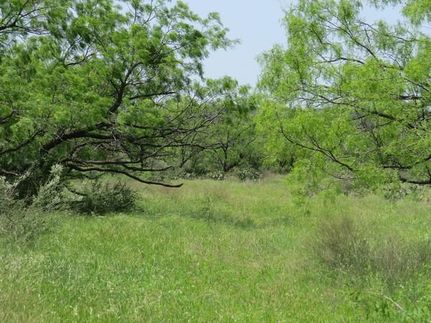 Farm and Ranch in Coke County, Texas