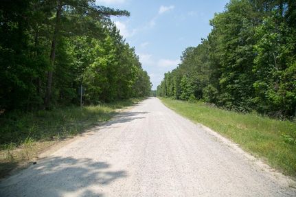Undeveloped Land in San Jacinto County, Texas