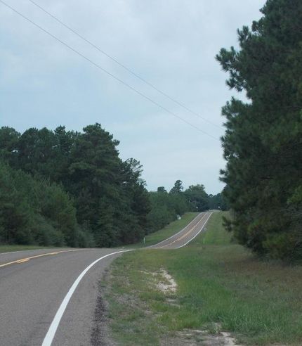 Timberland Property in Tyler County, Texas