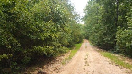 Farm and Ranch in Lee County, Alabama