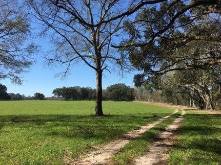 Timberland Property in Mobile County, Alabama