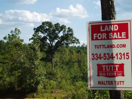 Farm and Ranch in Clarke County, Alabama