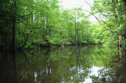 Recreational Property in Columbus County, North Carolina