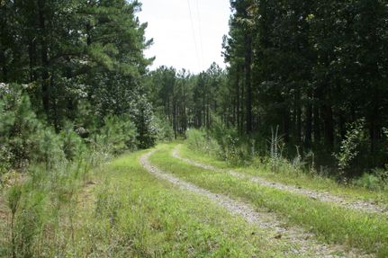 Recreational Property in Winston County, Alabama