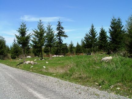 Farm and Ranch in Thurston County, Washington