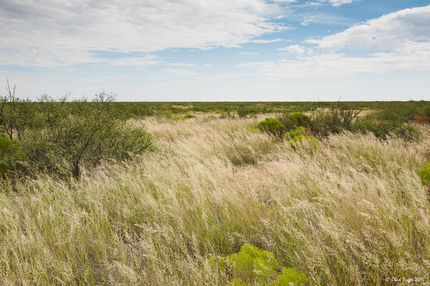 Land in Ector County, Texas