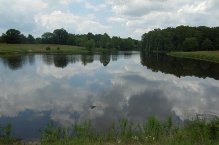 Undeveloped Land in Johnston County, Oklahoma