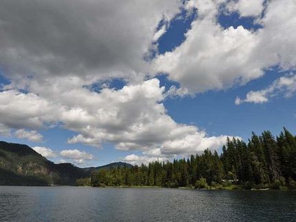 Timberland Property in Lincoln County, Montana