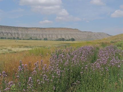 Farm and Ranch in Washakie County, Wyoming