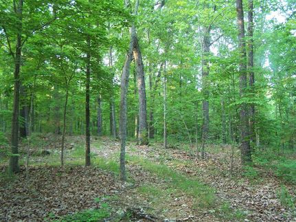 Hunting Property in Howell County, Missouri