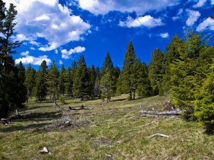 Land in Powell County, Montana