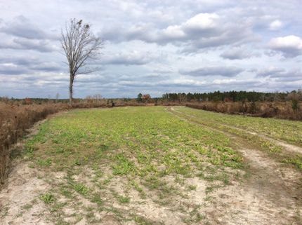 Land in Calhoun County, South Carolina
