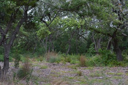 Farm and Ranch in Travis County, Texas