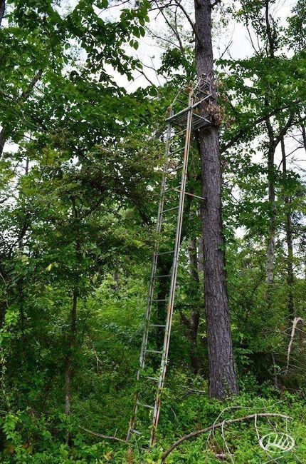 Farm and Ranch in Calloway County, Kentucky