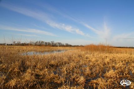 Land in Renville County, Minnesota