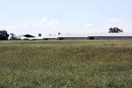 Land in Smith County, Mississippi