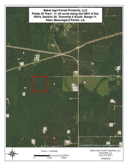 Hunting Property in Beauregard Parish, Louisiana