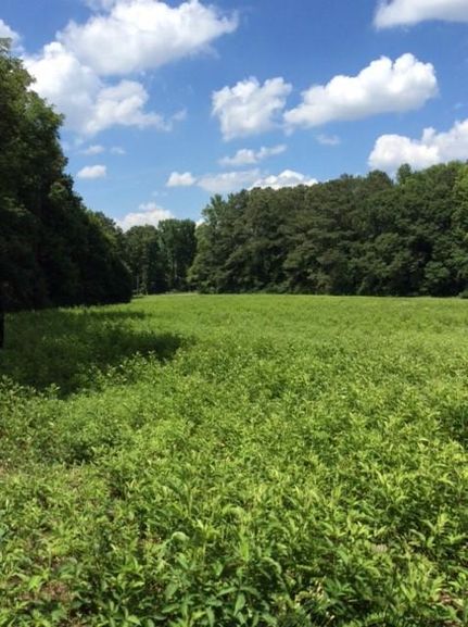 Farm and Ranch in Etowah County, Alabama