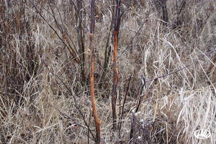 Land in Pine County, Minnesota