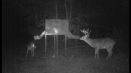 Recreational Property in Choctaw County, Alabama