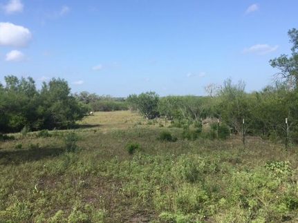 House in Live Oak County, Texas