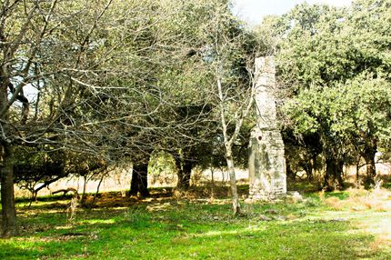 Land in Erath County, Texas