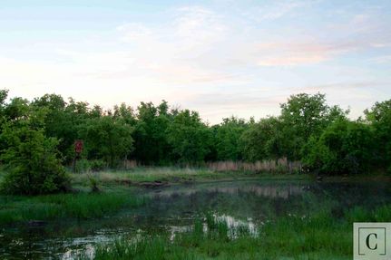 Farm and Ranch in Young County, Texas