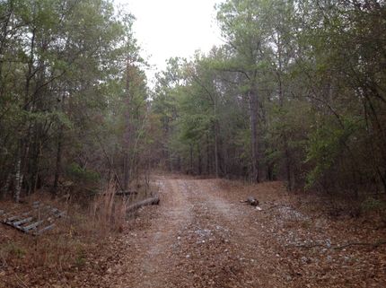 Recreational Property in Tuscaloosa County, Alabama