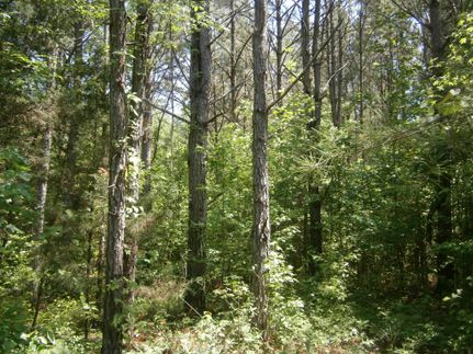 Land in Prentiss County, Mississippi