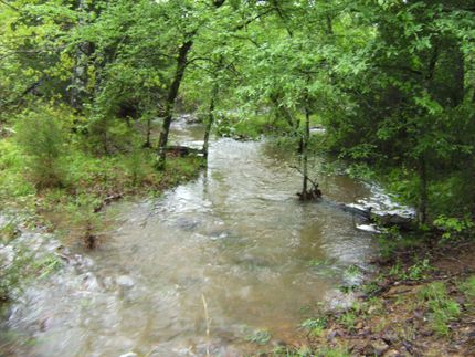 Timberland Property in Latimer County, Oklahoma