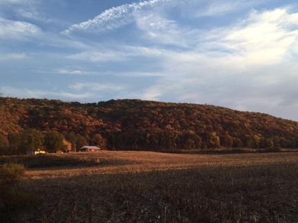 Farm and Ranch in Marshall County, Alabama