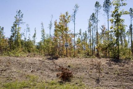 Farm and Ranch in Jefferson County, Georgia