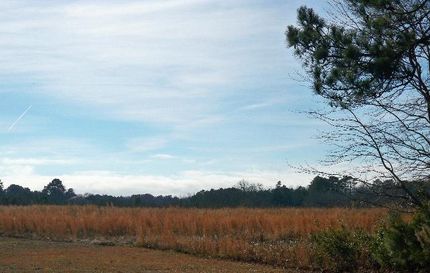 Land in Northampton County, Virginia