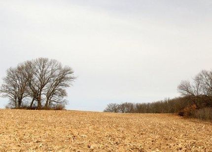 Timberland Property in Green County, Wisconsin