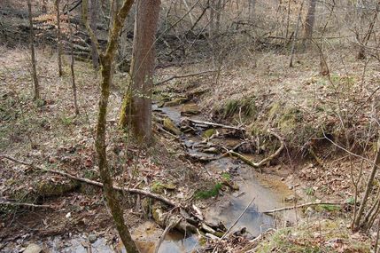 Farm and Ranch in Gallia County, Ohio
