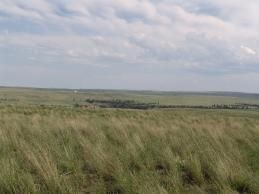Farm and Ranch in Wheatland County, Montana