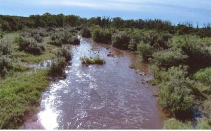 Horse Property in Cottle County, Texas