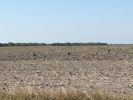 Farm and Ranch in Kleberg County, Texas