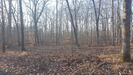 Farm and Ranch in Lawrence County, Tennessee