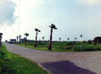 Oceanfront Property in Brazoria County, Texas