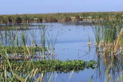 Lakefront Property in Palm Beach County, Florida