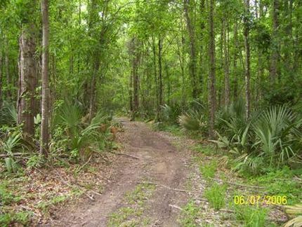 Farm and Ranch in Concordia Parish, Louisiana