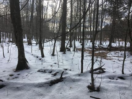 Farm and Ranch in Broome County, New York