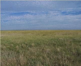 Land in Yuma County, Colorado