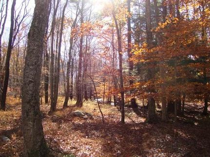 Land in Monroe County, Pennsylvania