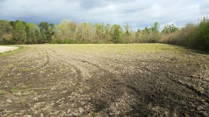 Farm and Ranch in Pender County, North Carolina