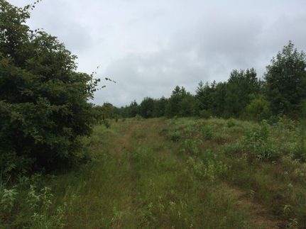 Timberland Property in Bradley County, Arkansas