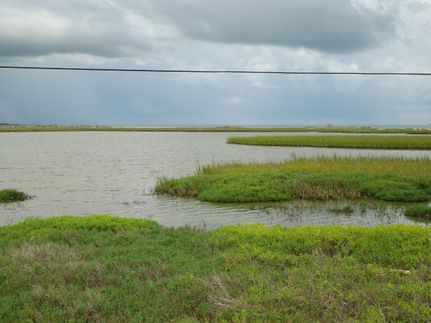 Farm and Ranch in Refugio County, Texas