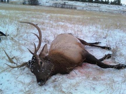 House in Broadwater County, Montana